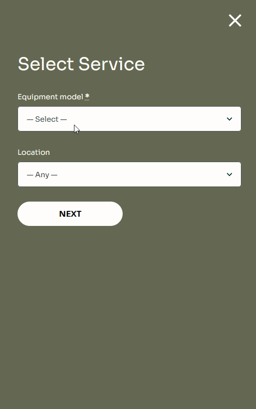 Screenshot of the default equipment rental form in the Lorenty WordPress template.