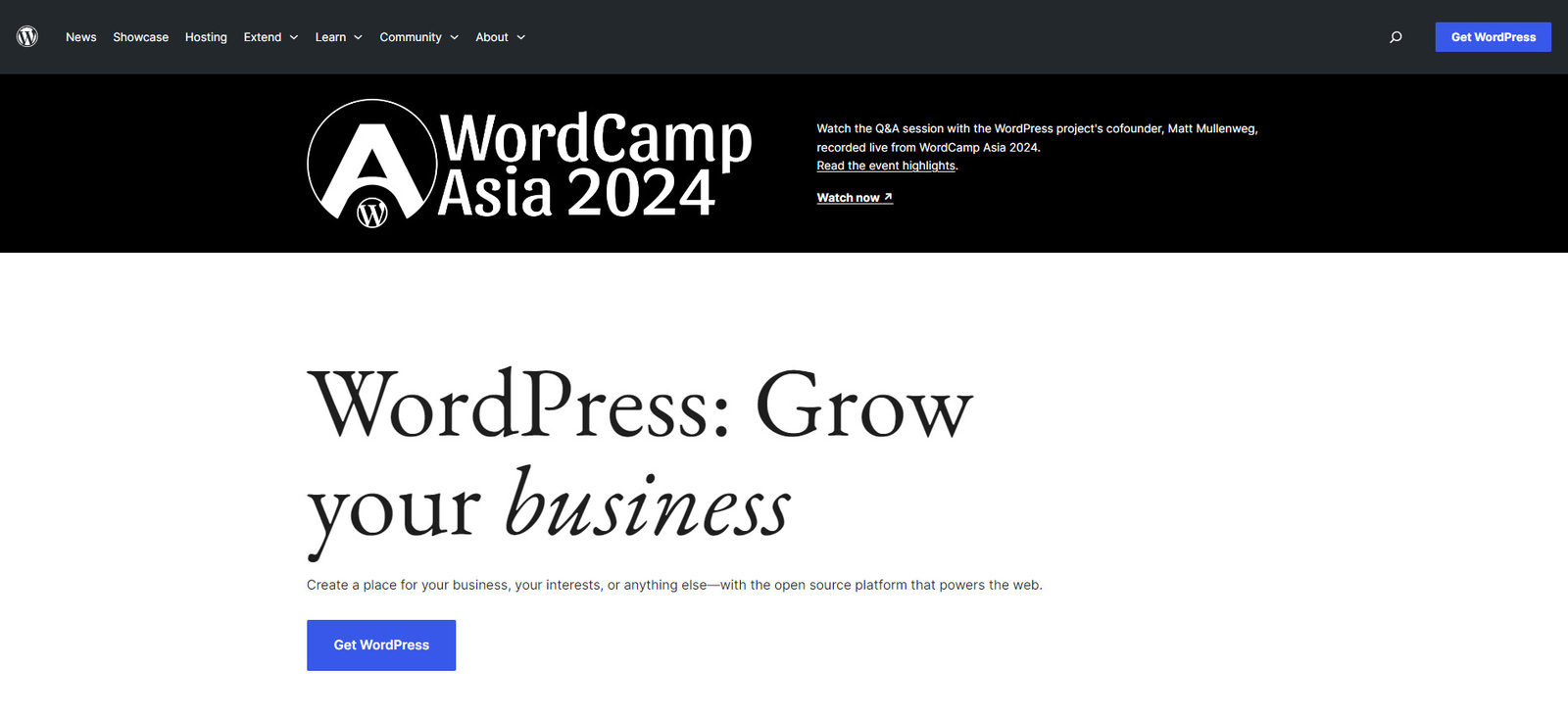 Picture of WordPress, a popular CMS used for website development and one of the best website builders for photographers.