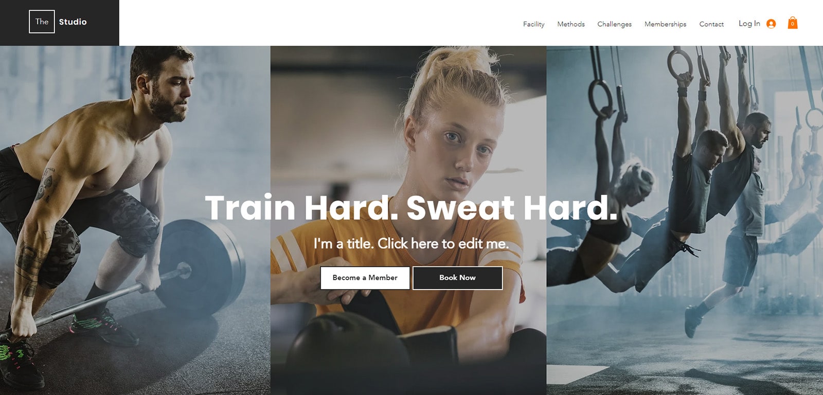 Representation of The Studio, a fitness studio template with high customization potential.
