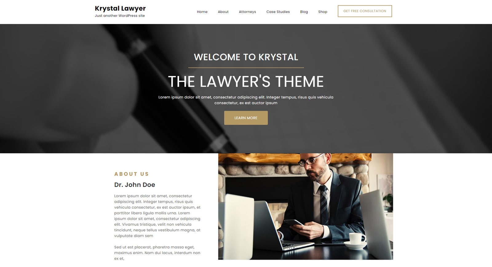 Portrait of Krystal Lawyer, an attorney WordPress theme with convenient tabs for services.