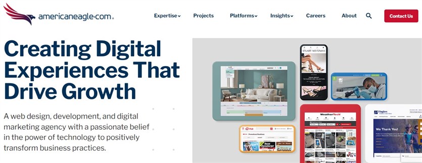 Screenshot of the Americaneagle development agency for custom wordpress website.