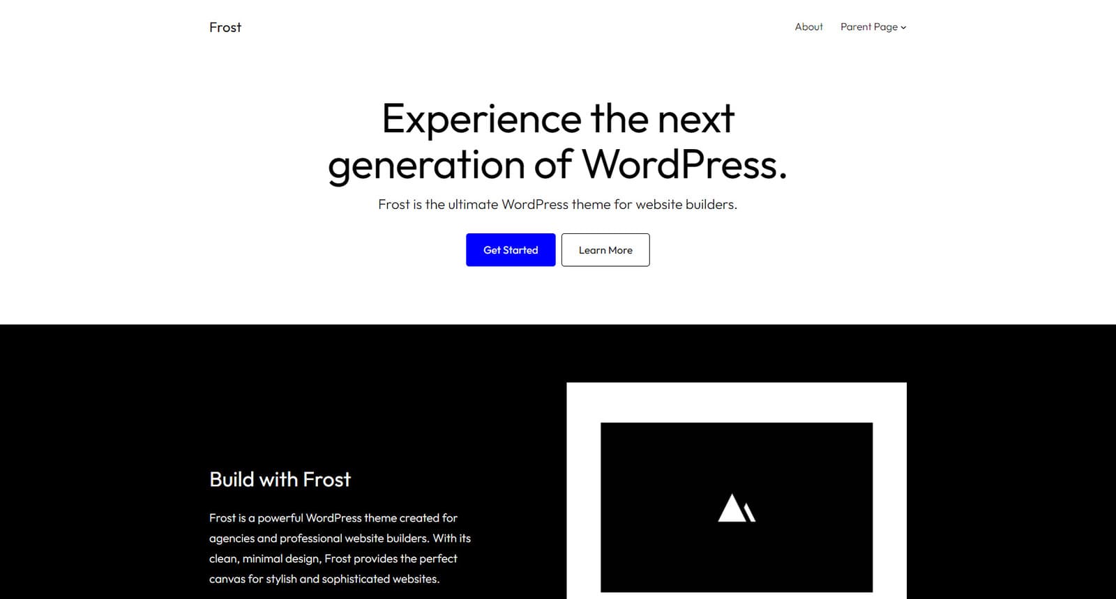 Portrait of Frost, one of the best FSE themes for business with 8 global styles included.