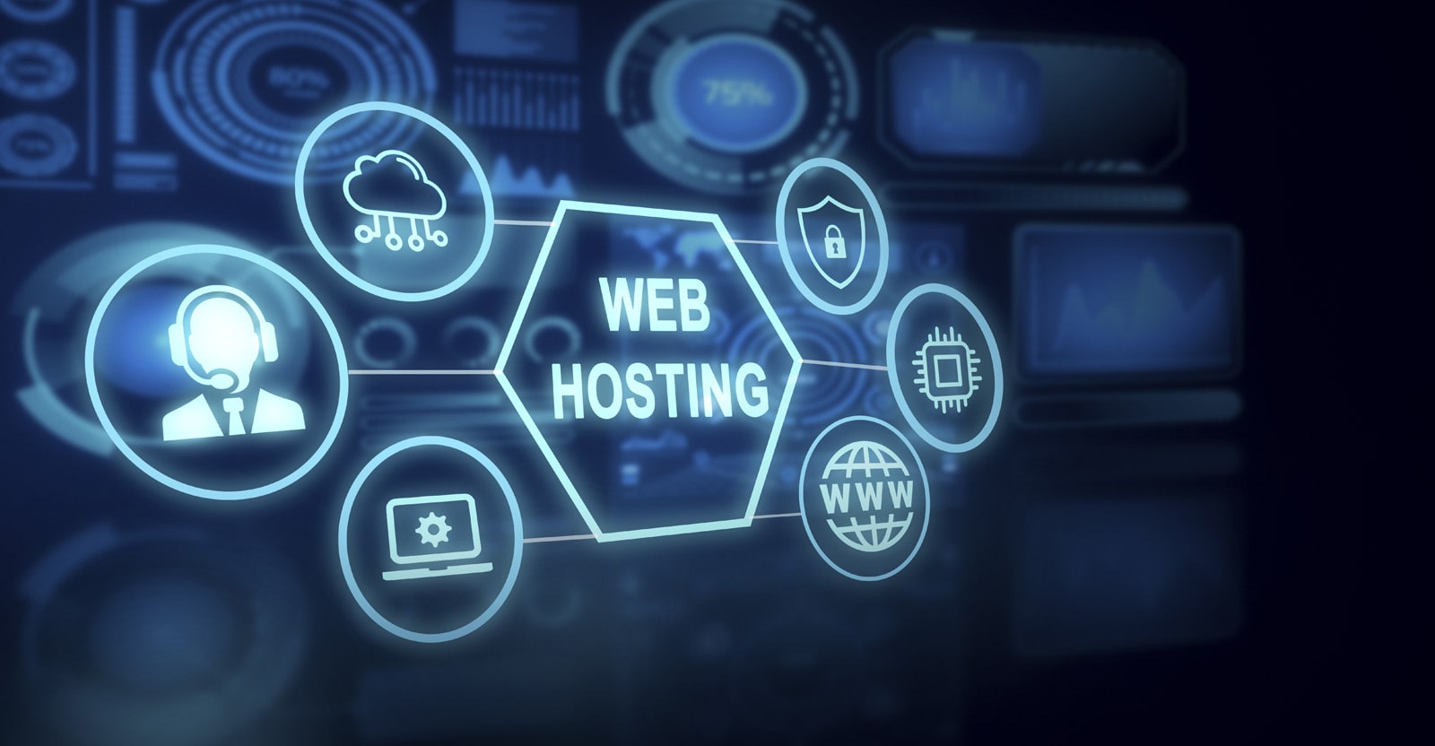 Graphic of web hosting and services associated with it.