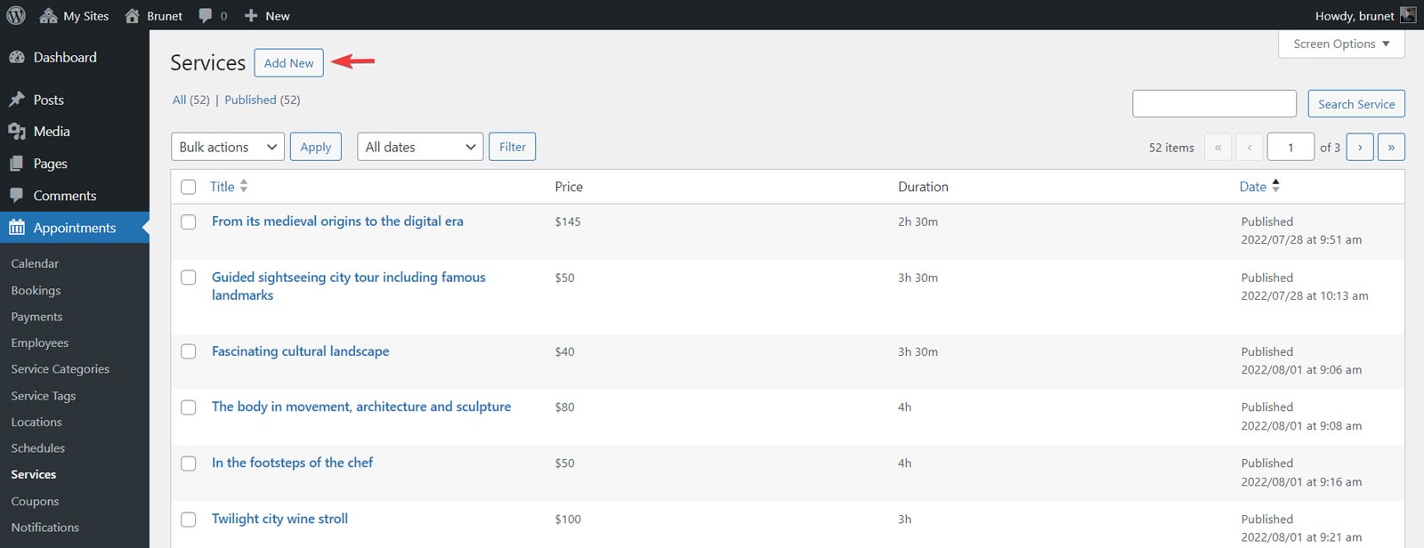 Graphic of the Services tab of an Appointment Booking plugin useful for those who want to create travel agency website.