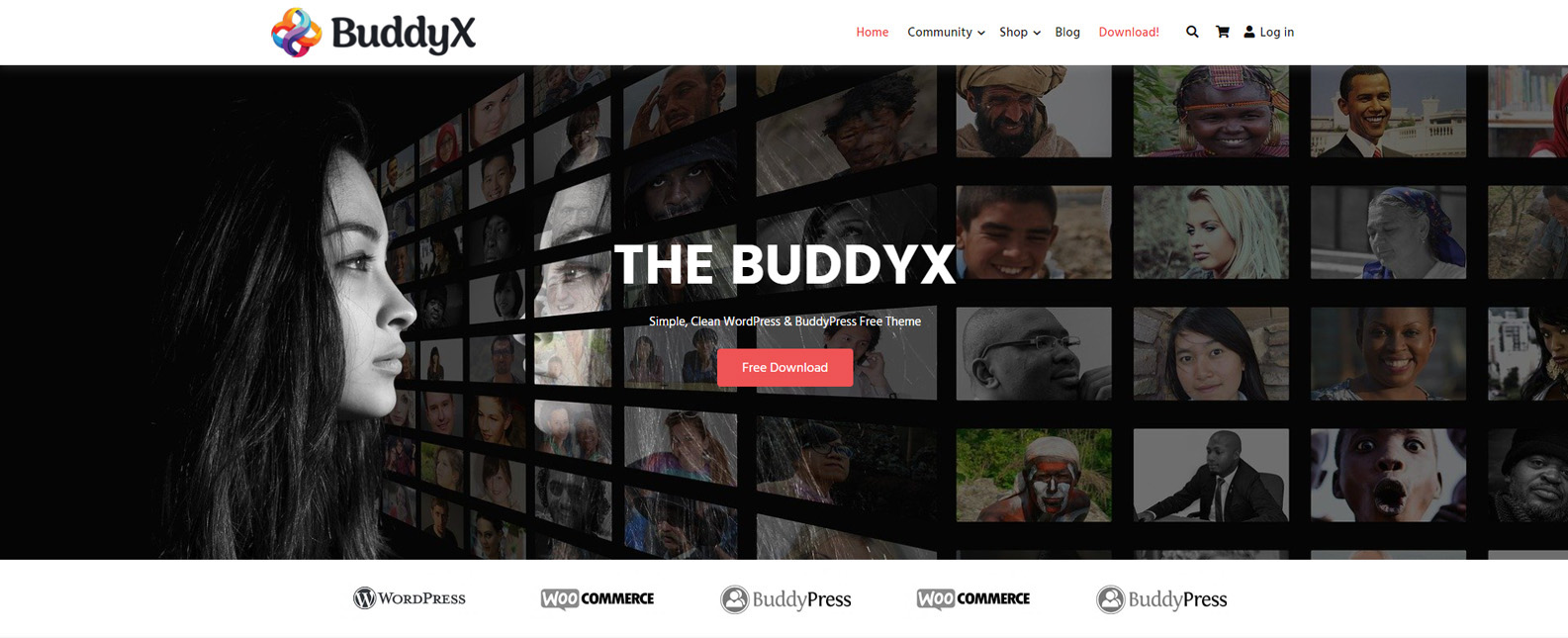 Picture of BuddyX Pro, community website WordPress theme with activity feeds.