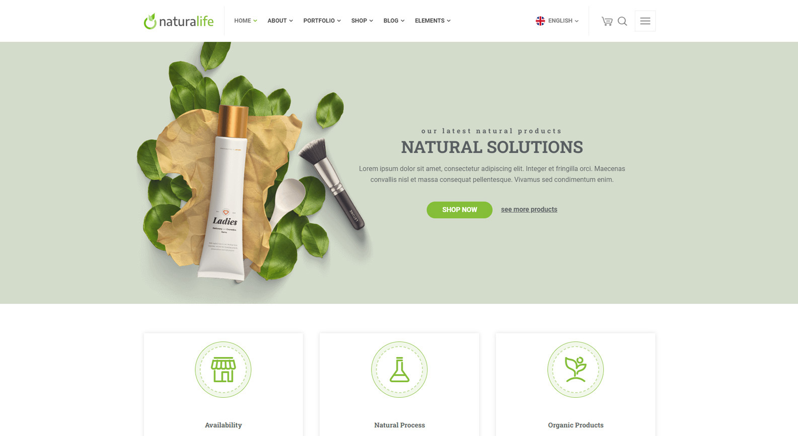 Image of NaturaLife, one of the minimalist WordPress themes with a full WooCommerce pack.