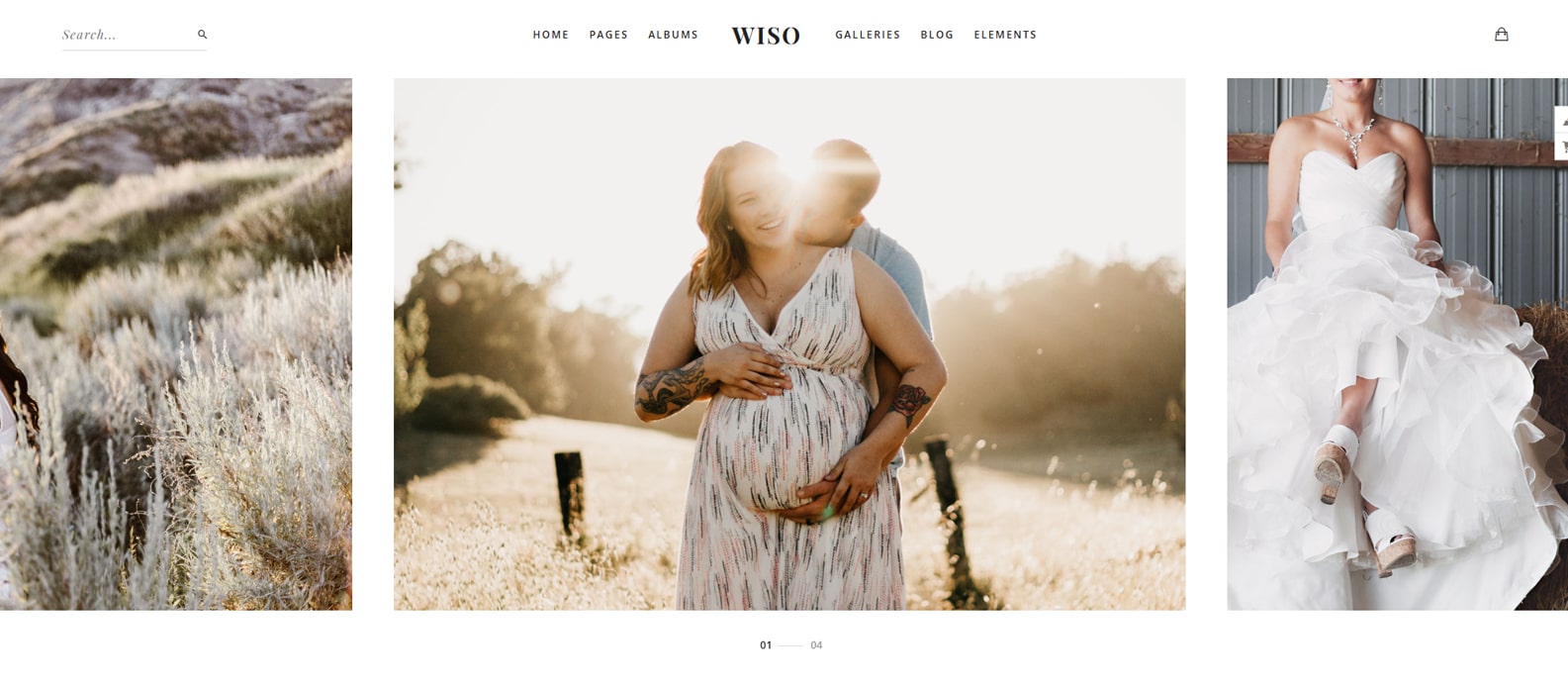 View of WISO, one of the modern WordPress fashion themes with client-proofing galleries.