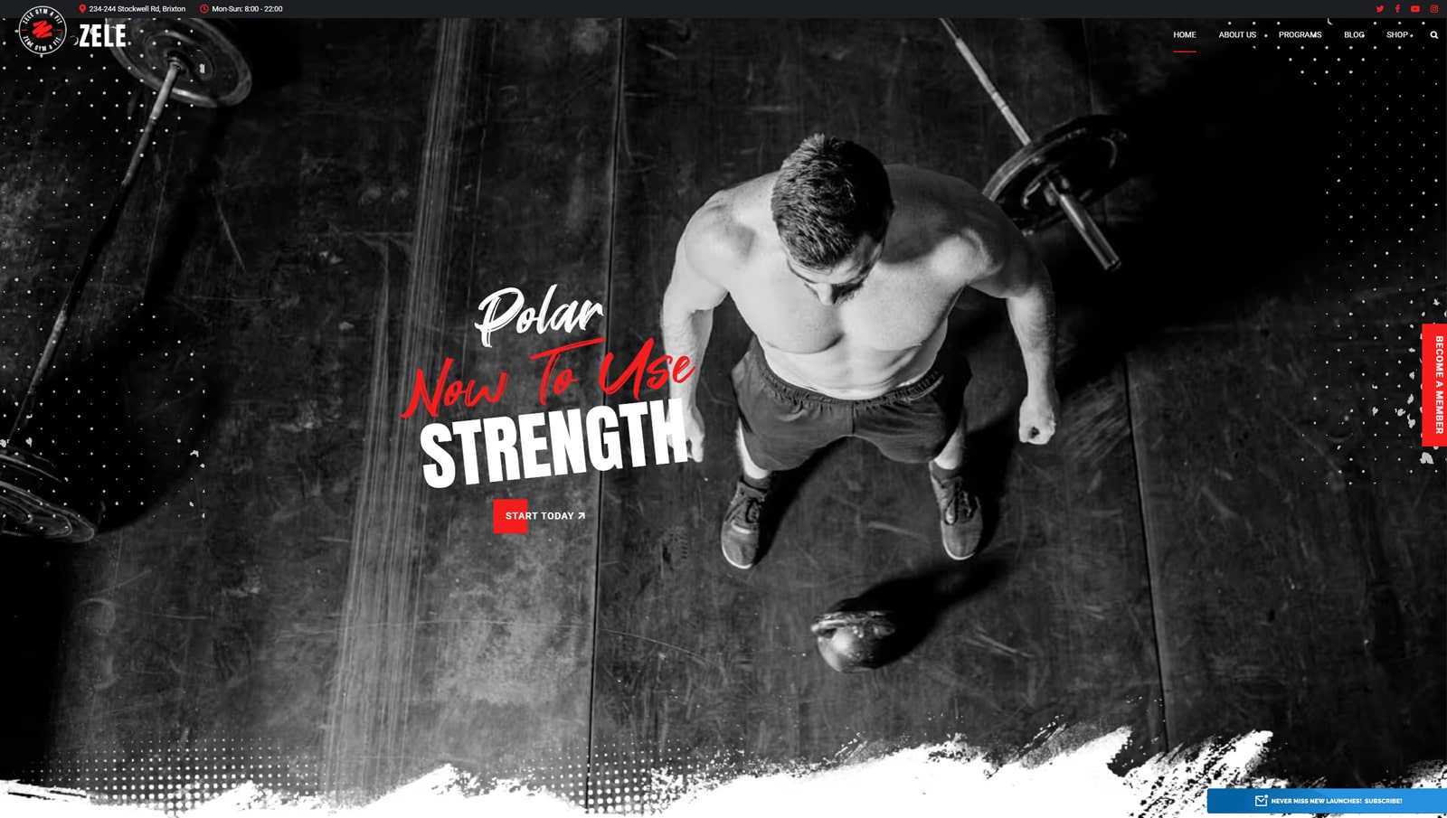 Image of Zele, a modern fitness center design solution for WordPress with 9+ header styles.