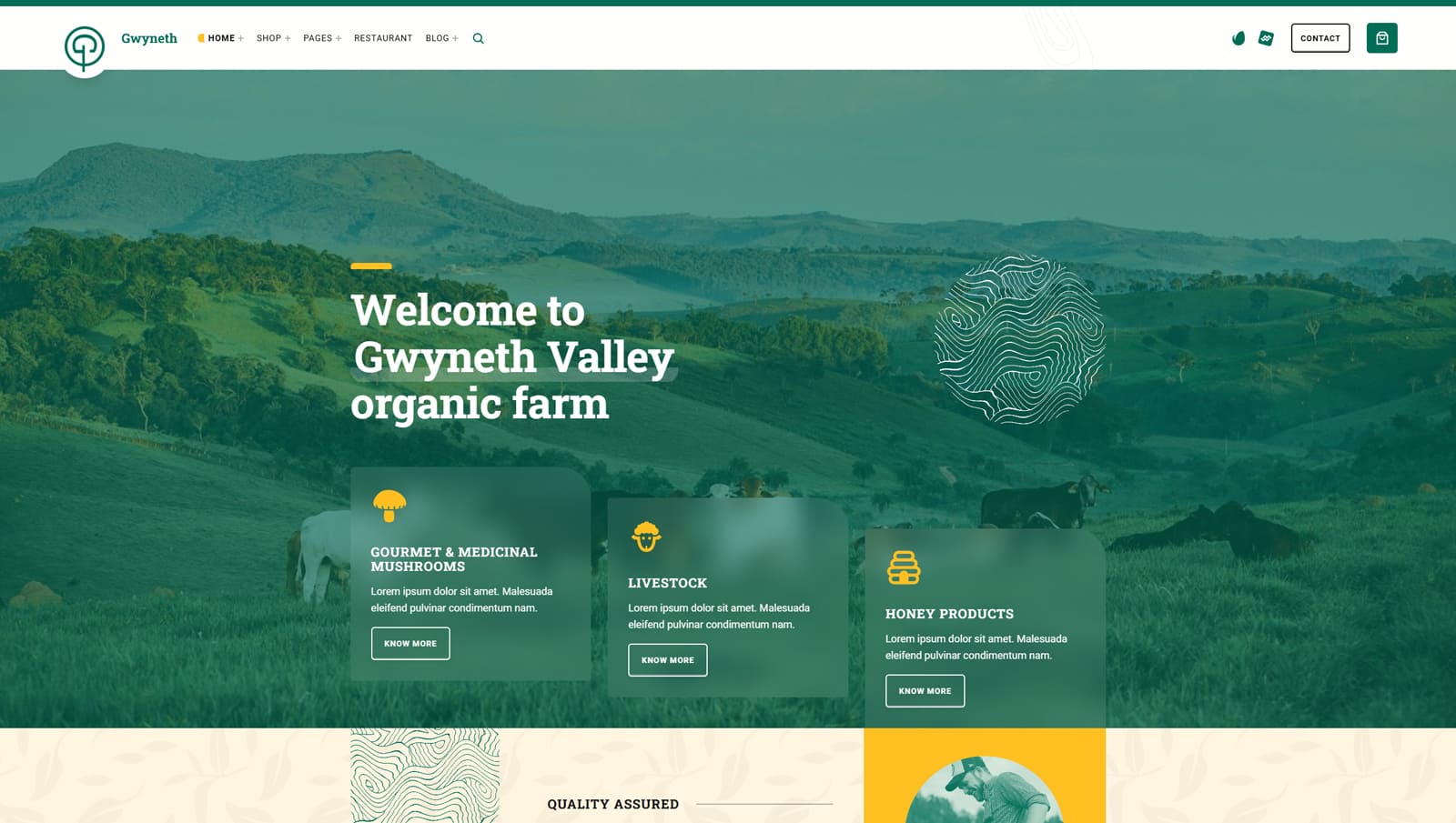 Portrait of Gwyneth, one of WordPress block themes with 100+ block patterns for your content.