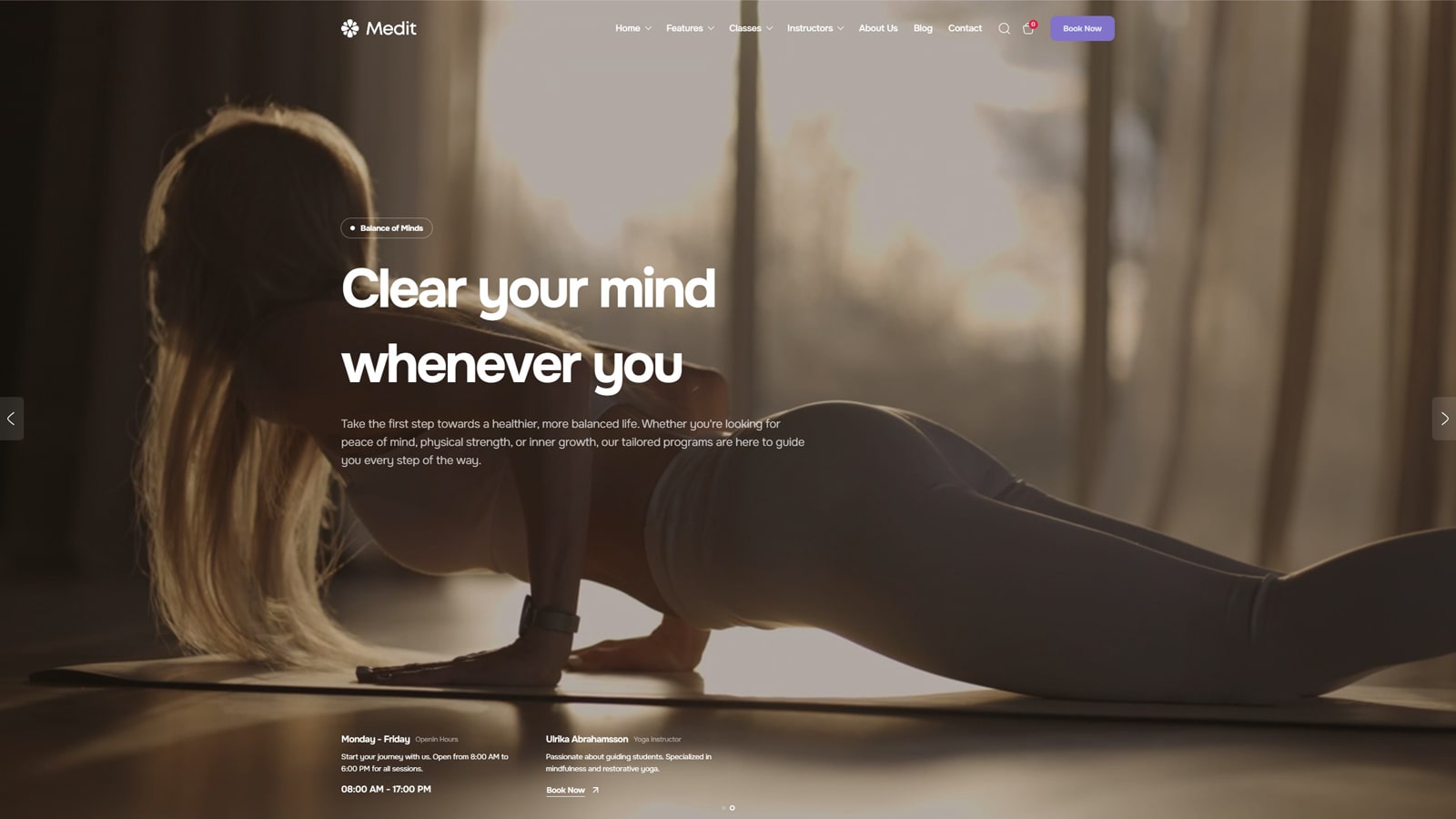 Visual of Medit, one of the wellness WordPress themes with eCommerce pages and a blog.