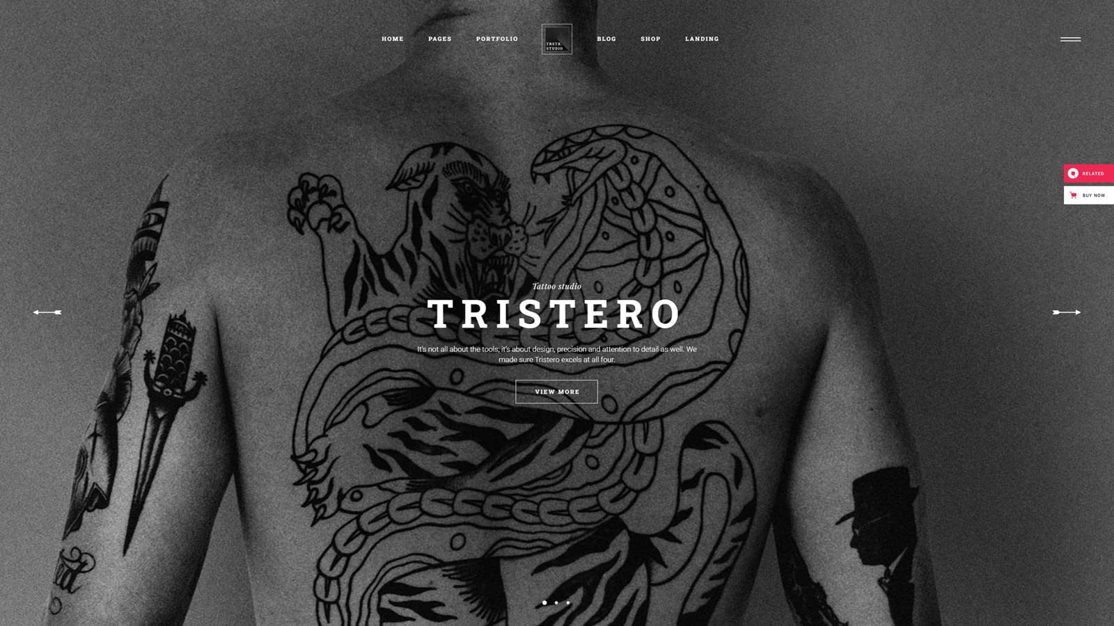 Visual of Tristero, one of the best WordPress themes for artists, with full-width gallery sections.