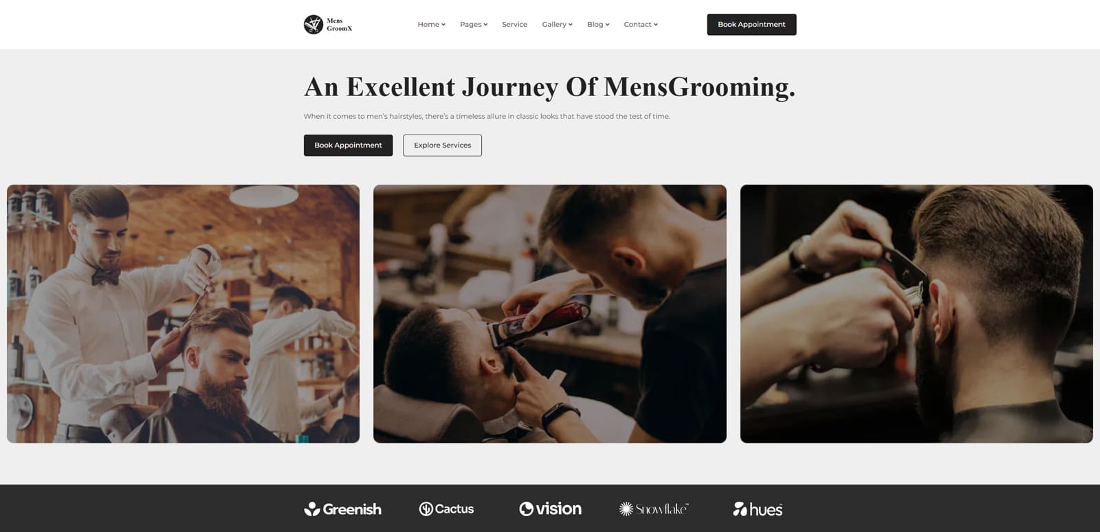 Portrait of Nexter, one of the Astra theme alternatives, with a post page customizer.