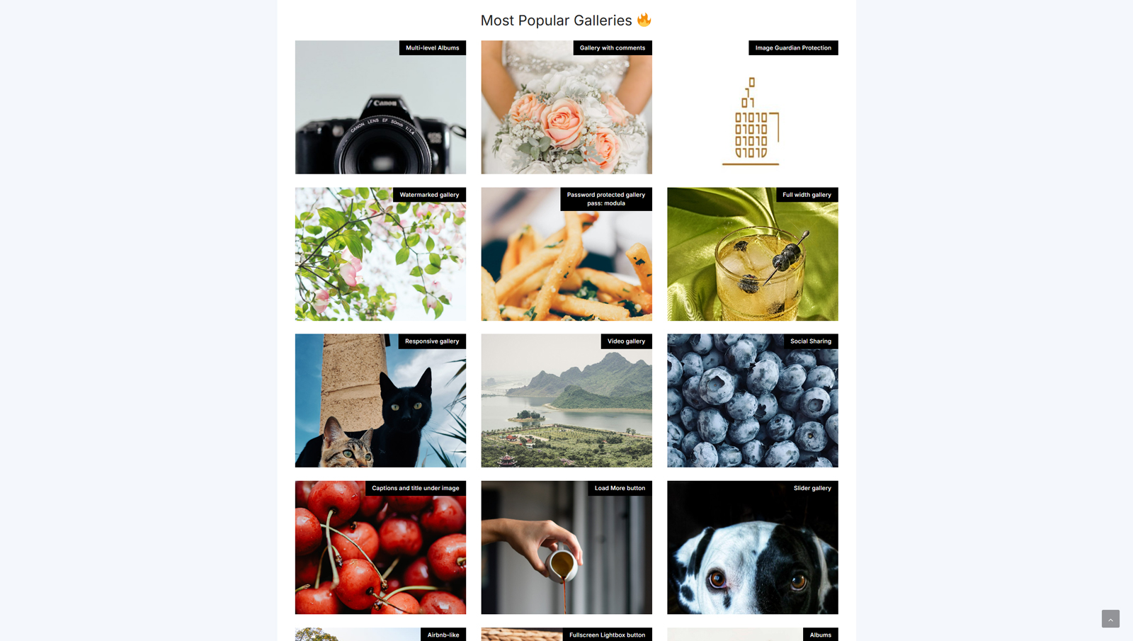 Photograph of Modula Image Gallery, one of the best WordPress gallery plugins with a video gallery.