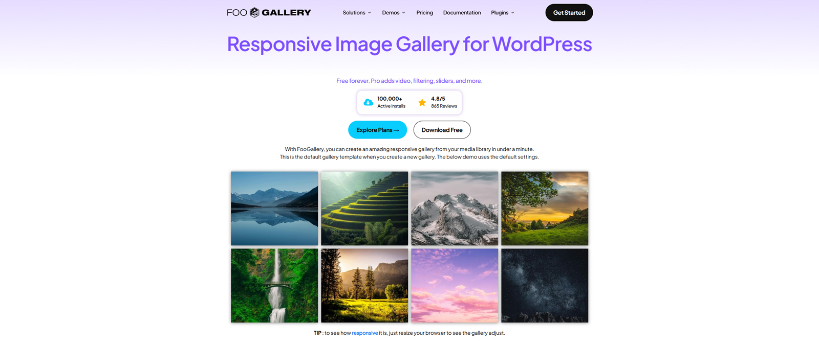Visual of FooGallery, a reliable gallery plugin for WordPress with multisite support.
