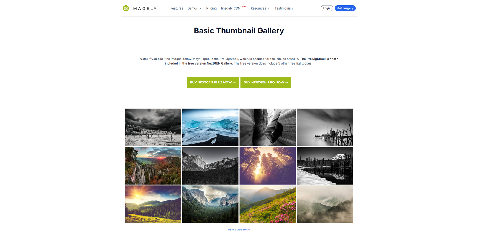 Portrait of NextGEN Gallery, one of the best WordPress gallery plugins with watermarking and password protection.
