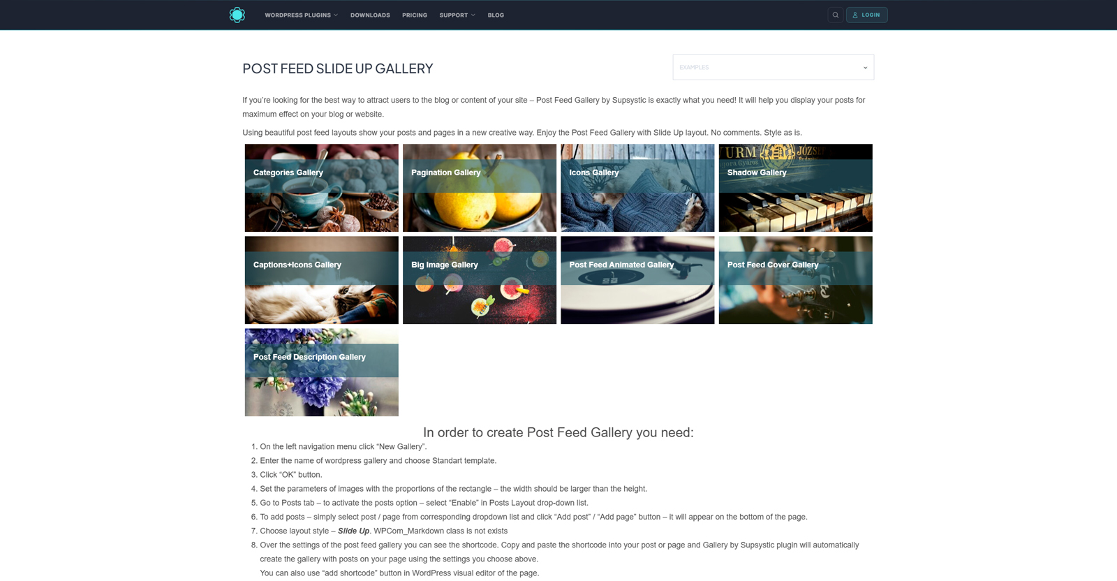 Figure of Photo Gallery by Supsystic, a user-friendly portfolio plugin for WordPress with advanced gallery and album layouts.