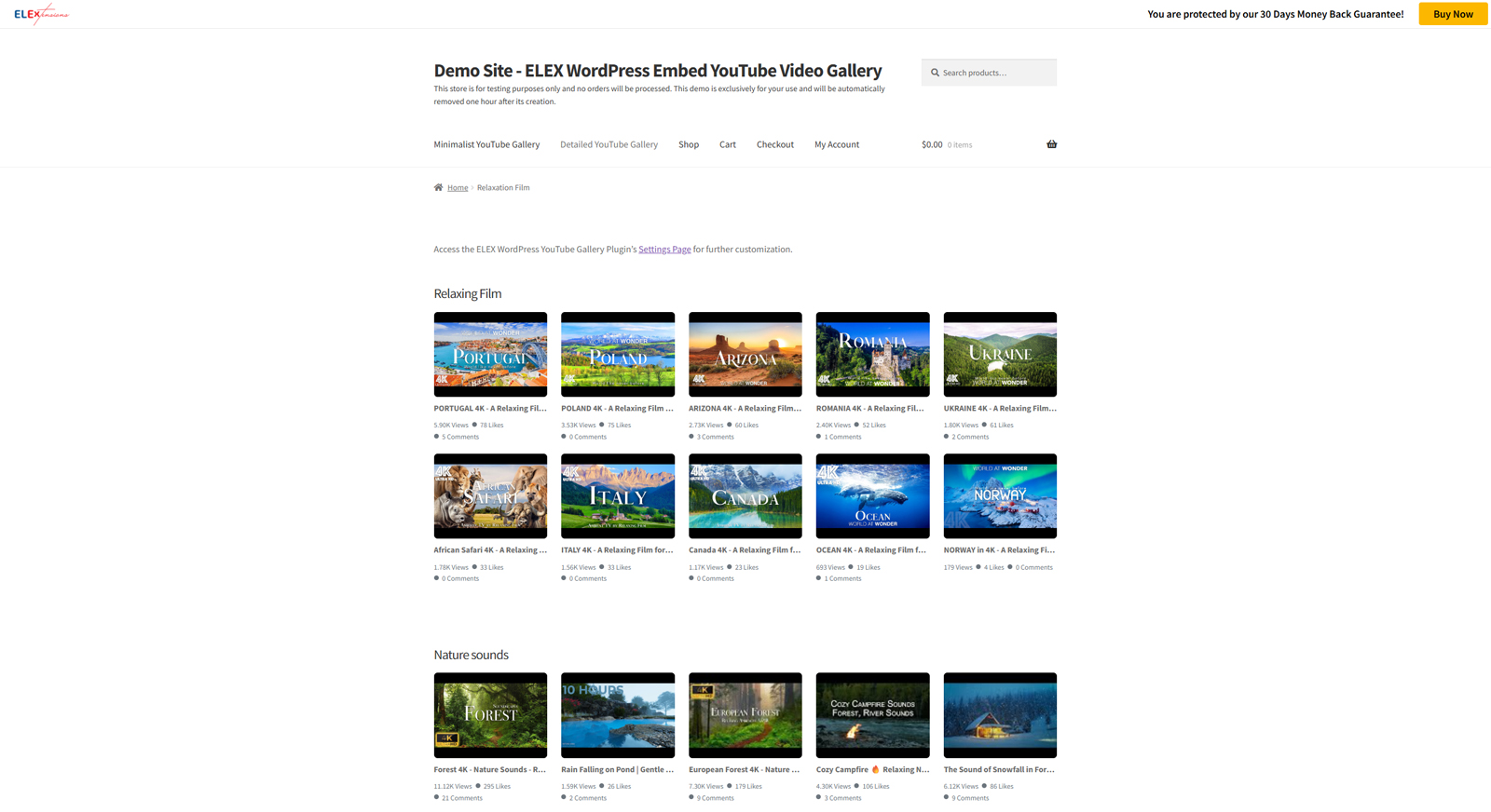 Snapshot of ELEX WordPress Embed YouTube Video Gallery, a customizable video gallery plugin for WordPress with an automatic gallery synchronization.