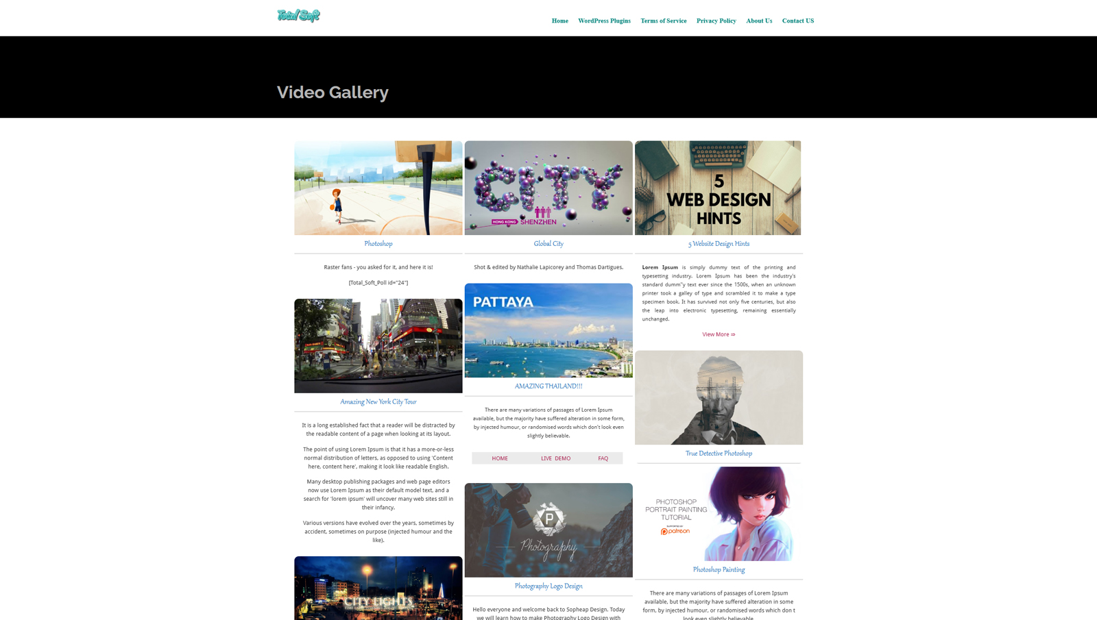 Graphic of Totalsoft Video Gallery, one of the best WordPress gallery plugins with a video lightbox effect.